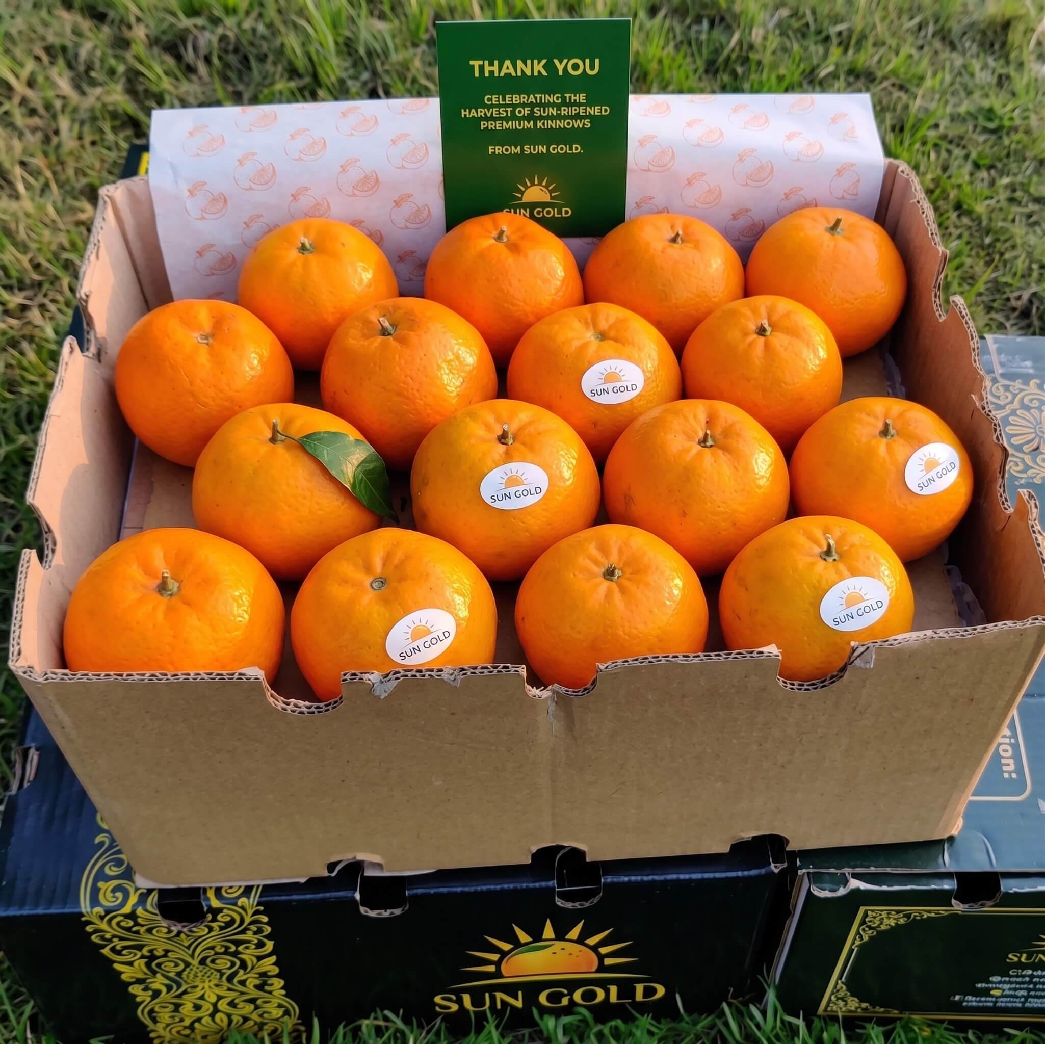 A Sun Gold Kinnow gift box with branded fruit stickers and a printed thank-you card